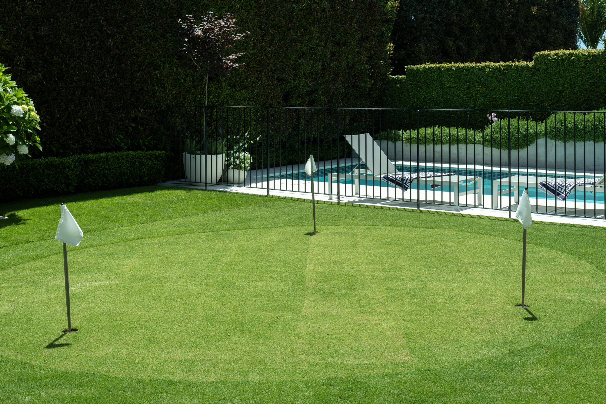Lawn Care in Auckland image