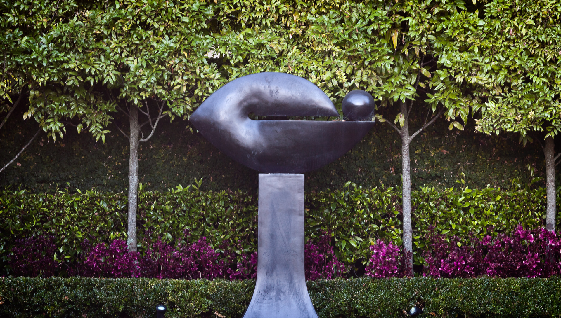 Medals Remuera House Iv Horz