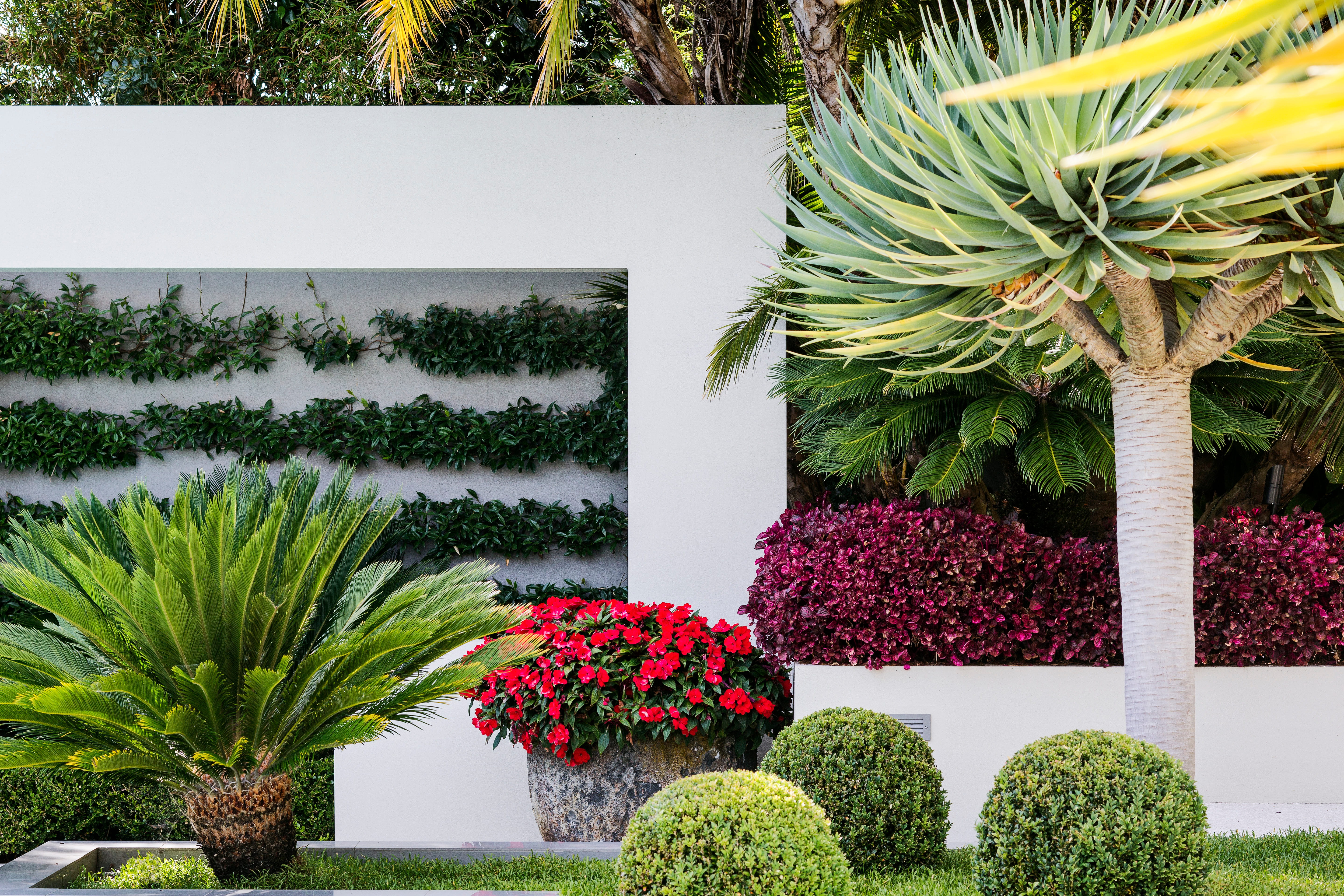 Autumn Planting in Auckland image